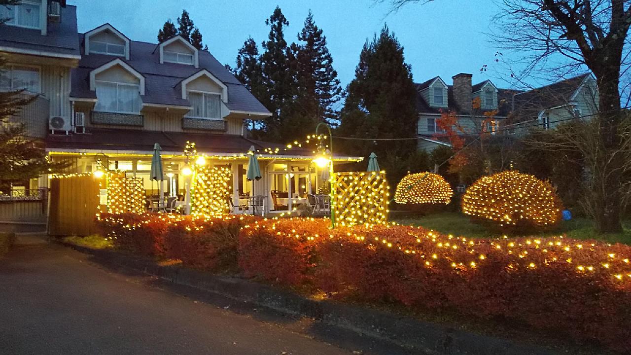 Hotel Natural Garden Никко Экстерьер фото